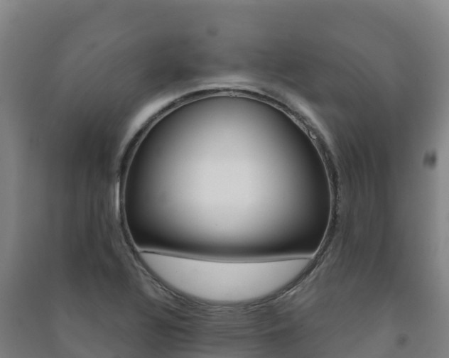 X0000091481320200708161140