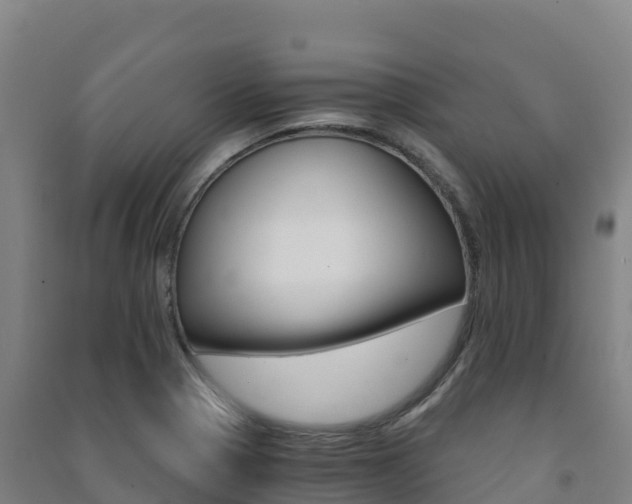 X0000091481321200708161140