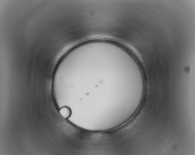 X0000091481322200708161140