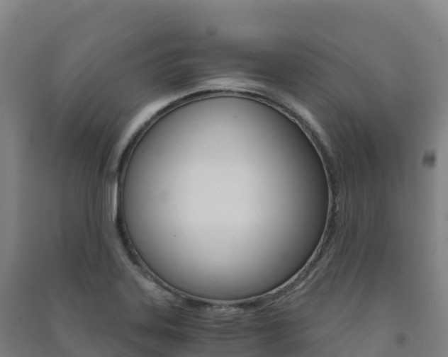 X0000091481323200708161140