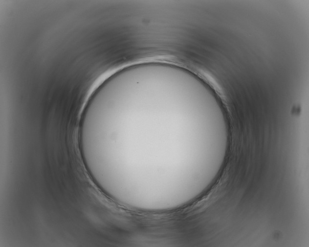 X0000091481324200708161140