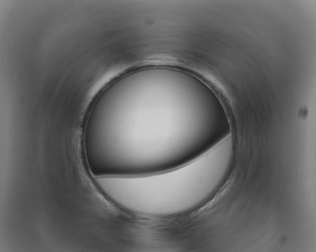 X0000091481325200708161140