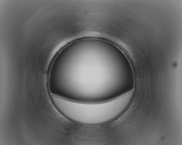 X0000091481326200708161140