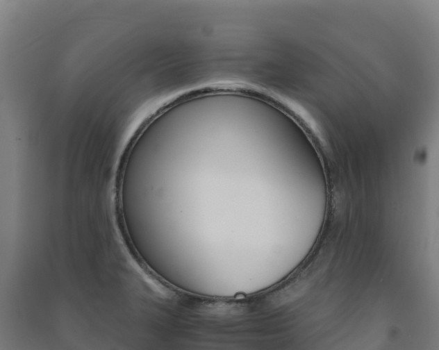 X0000091481327200708161140