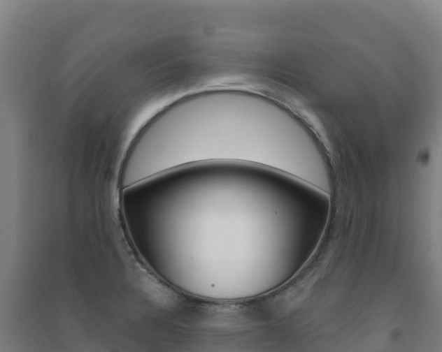 X0000091481328200708161140