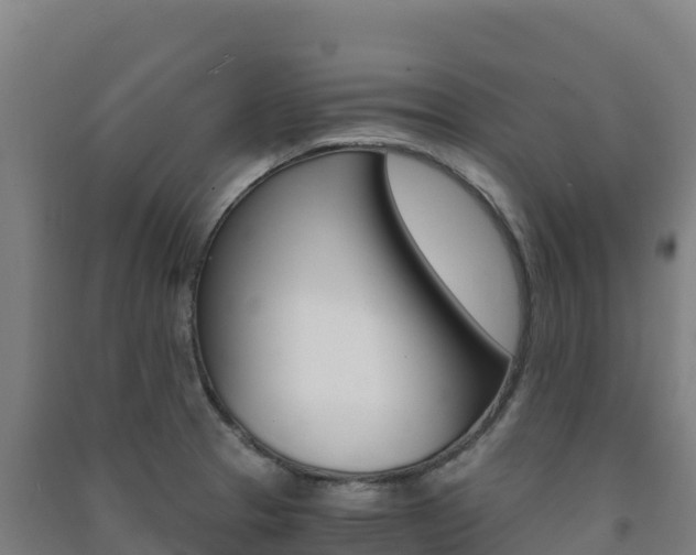 X0000091481329200708161140