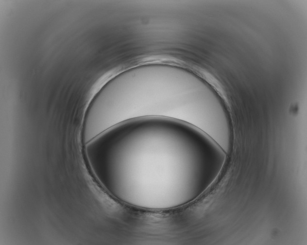 X0000091481330200708161140