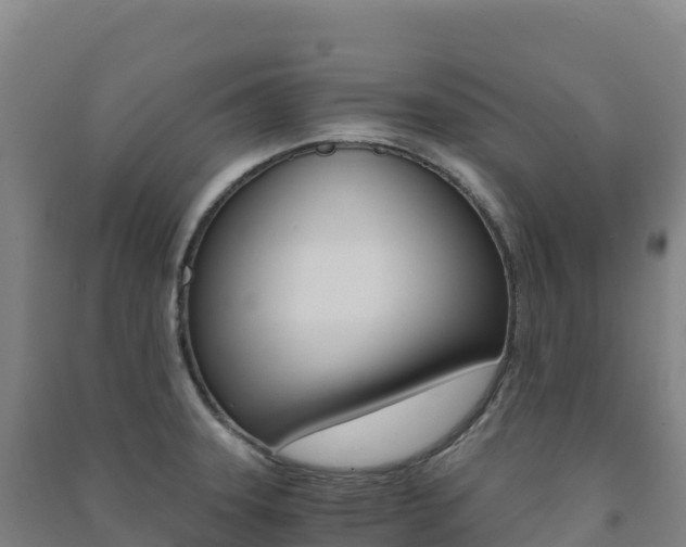 X0000091481331200708161140