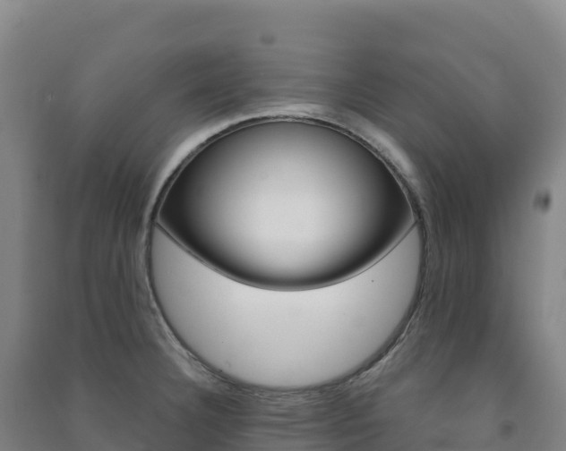 X0000091481332200708161140
