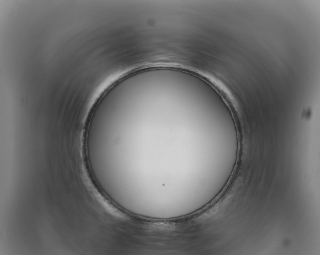 X0000091481333200708161140