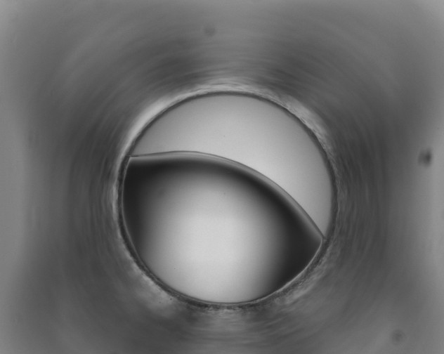 X0000091481334200708161140