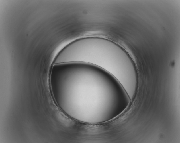 X0000091481336200708161141