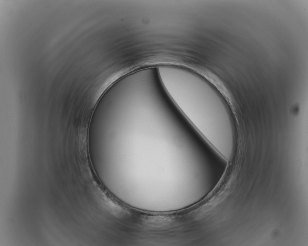 X0000091481337200708161141