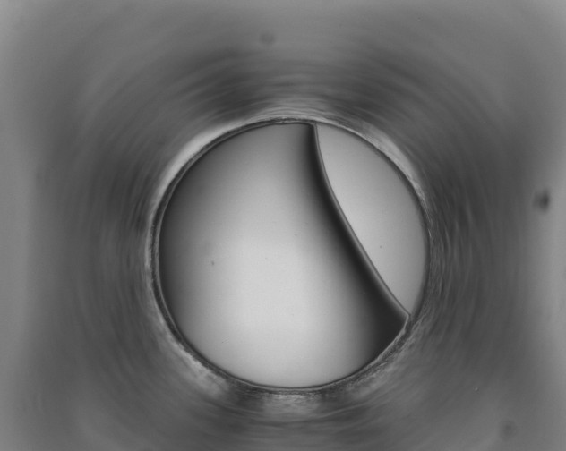 X0000091481339200708161141