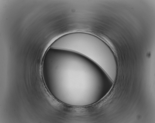 X0000091481340200708161141