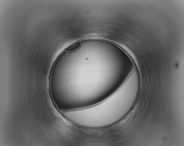 X0000091481341200708161141