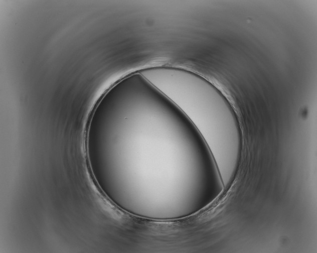 X0000091481342200708161141