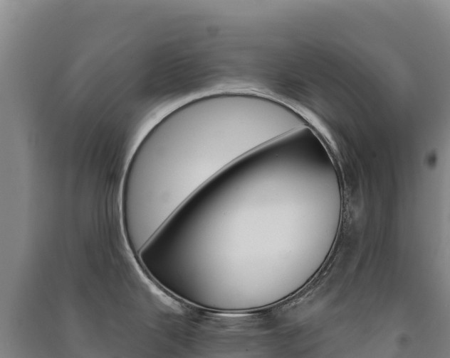 X0000091481343200708161141