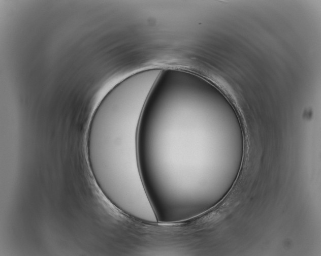 X0000091481344200708161141