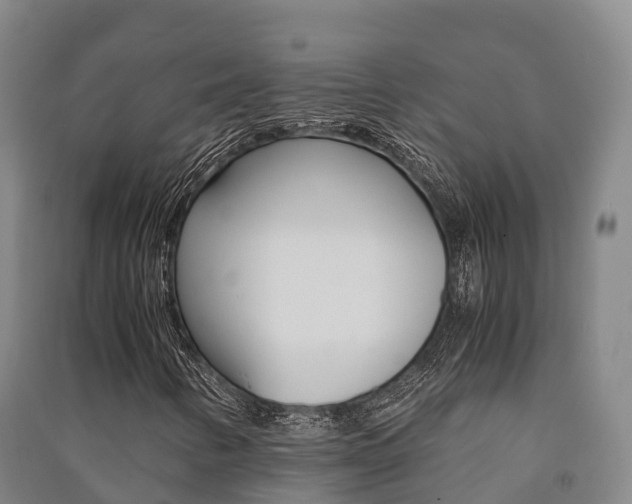 X0000091481346200708161140