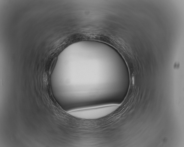 X0000091481347200708161140