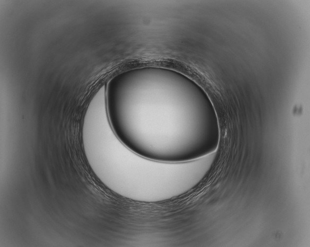X0000091481348200708161140
