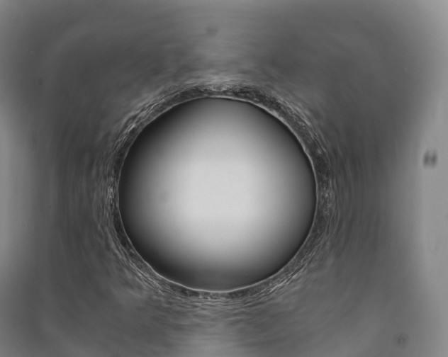 X0000091481349200708161140