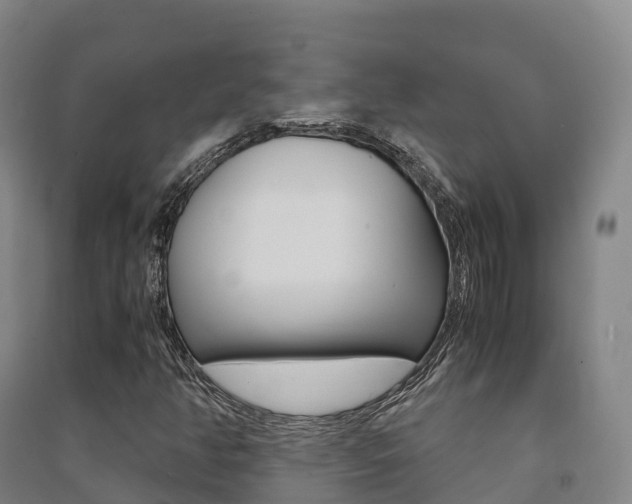 X0000091481350200708161140