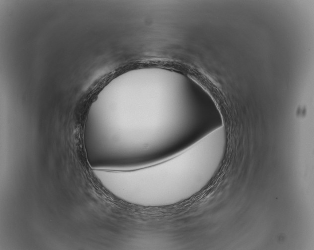 X0000091481351200708161140