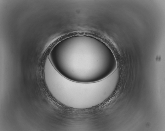 X0000091481352200708161140