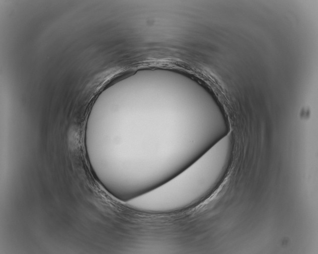 X0000091481353200708161140