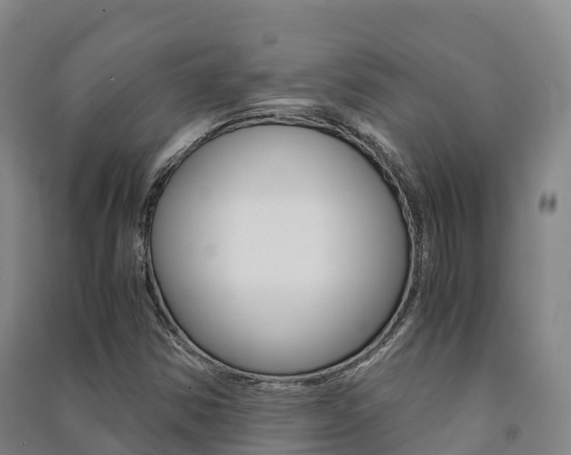 X0000091481354200708161140