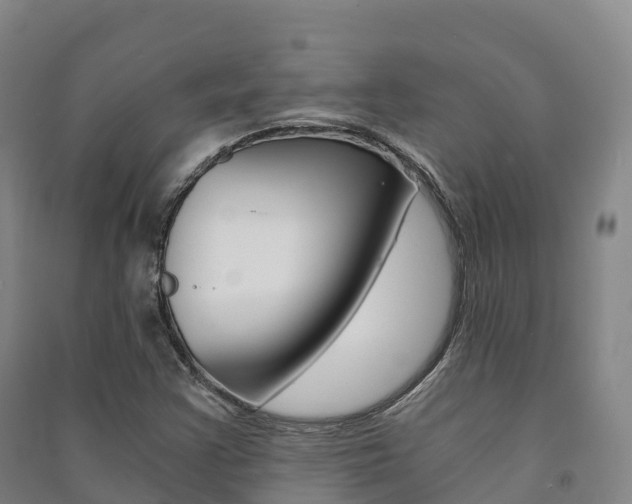 X0000091481355200708161140