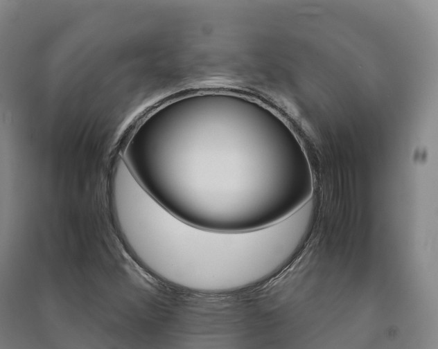 X0000091481356200708161140