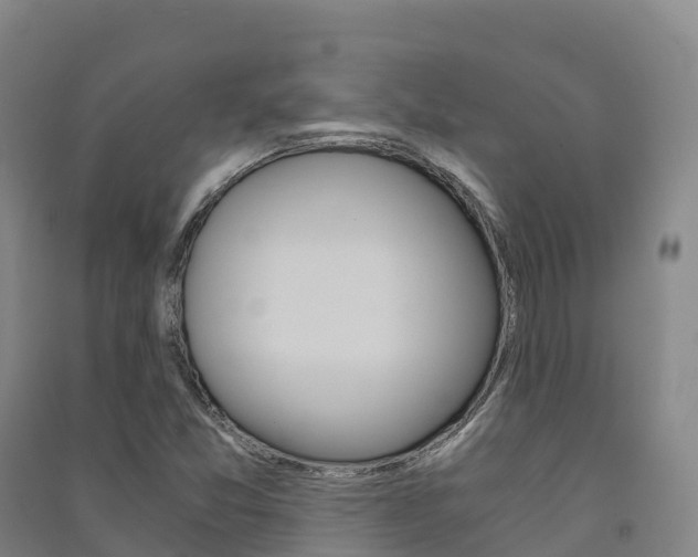 X0000091481357200708161140