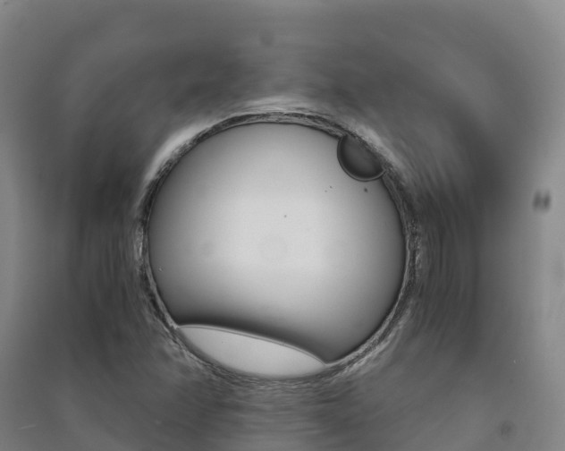X0000091481358200708161140