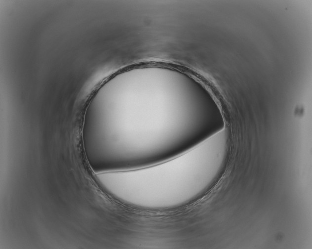 X0000091481359200708161140