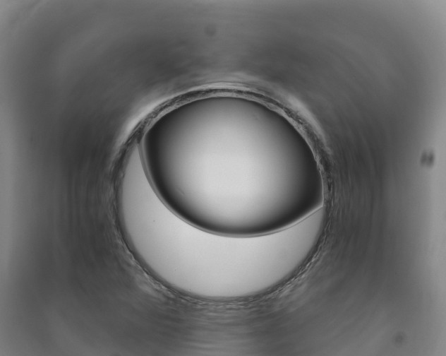 X0000091481360200708161140