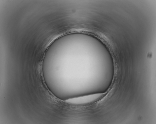 X0000091481361200708161140
