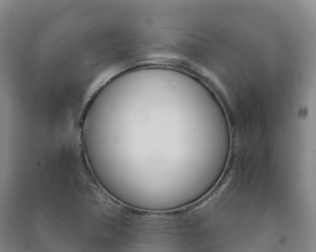 X0000091481362200708161140