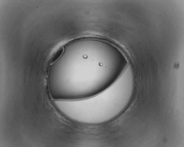 X0000091481363200708161140