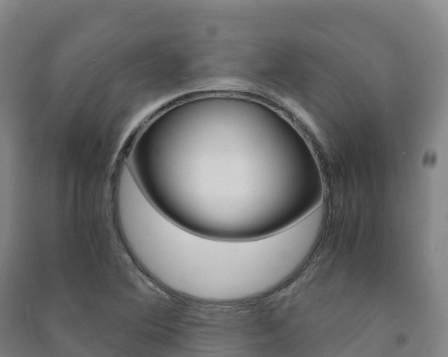X0000091481364200708161140