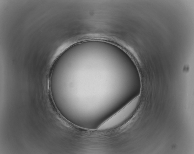X0000091481365200708161140