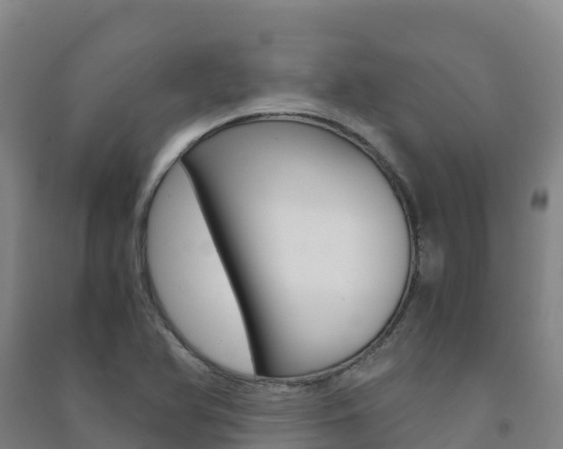 X0000091481366200708161140