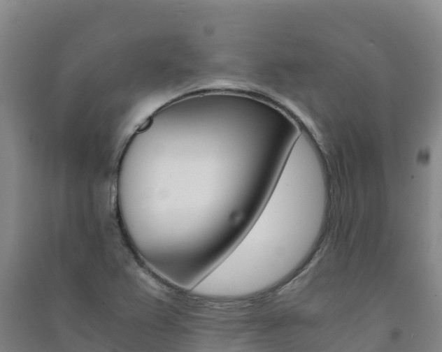 X0000091481367200708161140