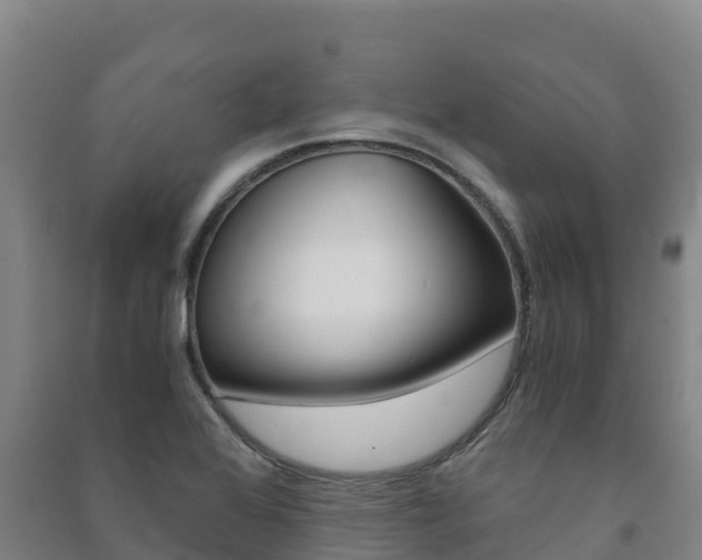 X0000091481368200708161140