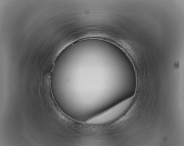 X0000091481369200708161140