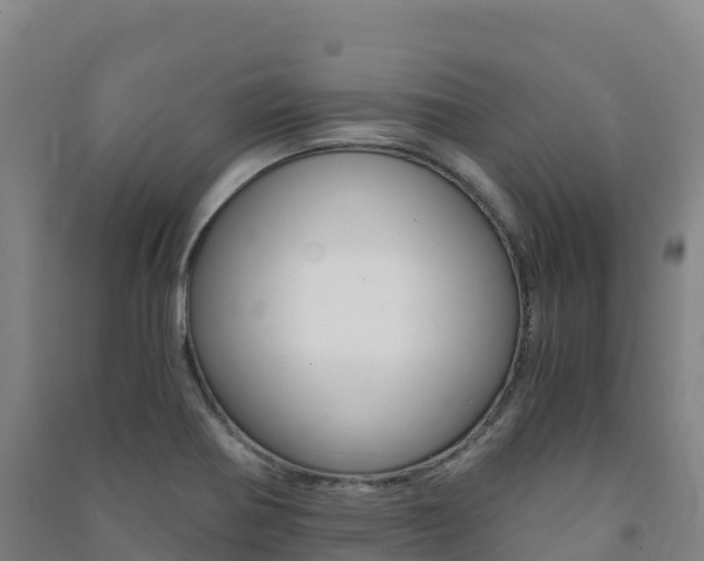 X0000091481370200708161140