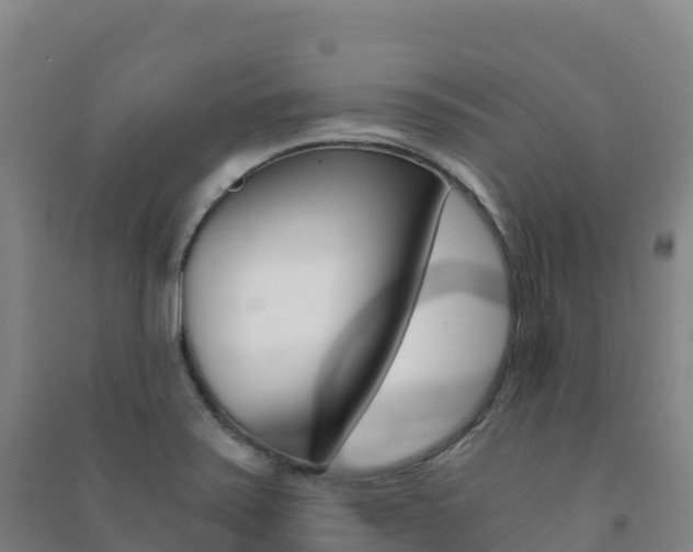 X0000091481371200708161140