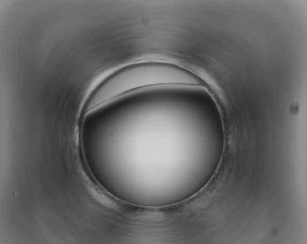 X0000091481372200708161139